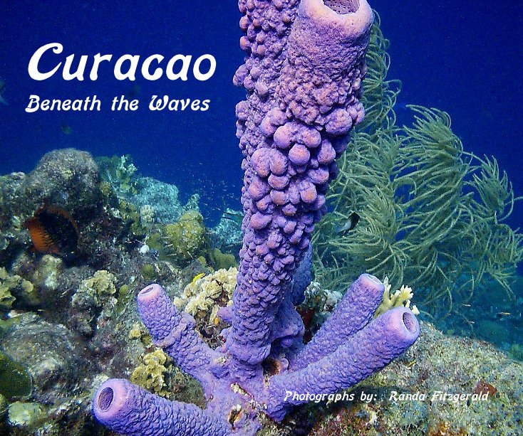 Ver Curacao Beneath the Waves Photographs by: Randa Fitzgerald por Randa Fitzgerald