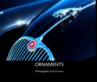 ORNAMENTS book cover