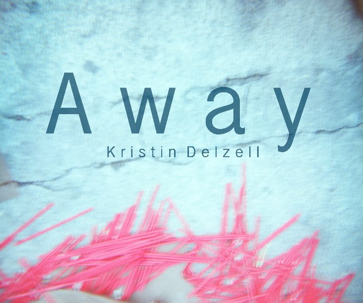 View Away by kristin delzell