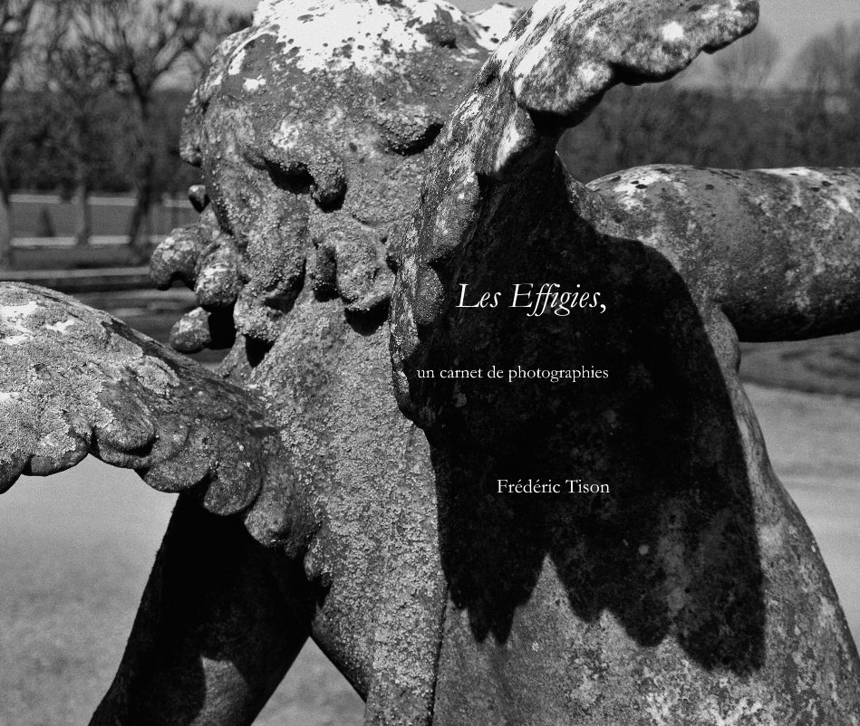 Visualizza Les Effigies, un carnet de photographies di Frédéric Tison