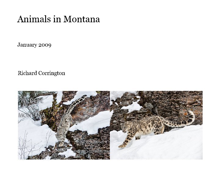 View Animals in Montana by Richard Corrington