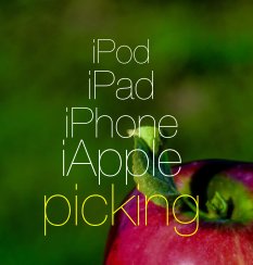 iApple Picking book cover