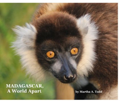 MADAGASCAR, A World Apart by Martha A. Todd book cover