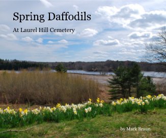 Spring Daffodils book cover