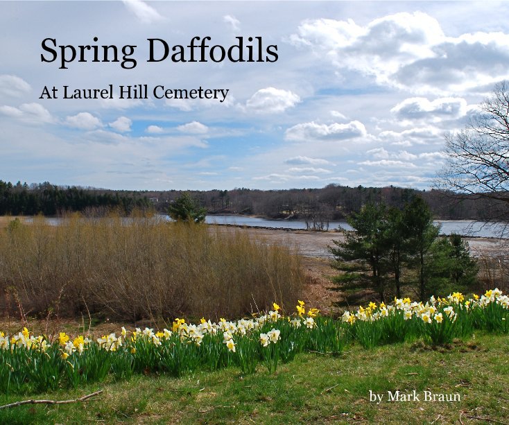View Spring Daffodils by Mark Braun