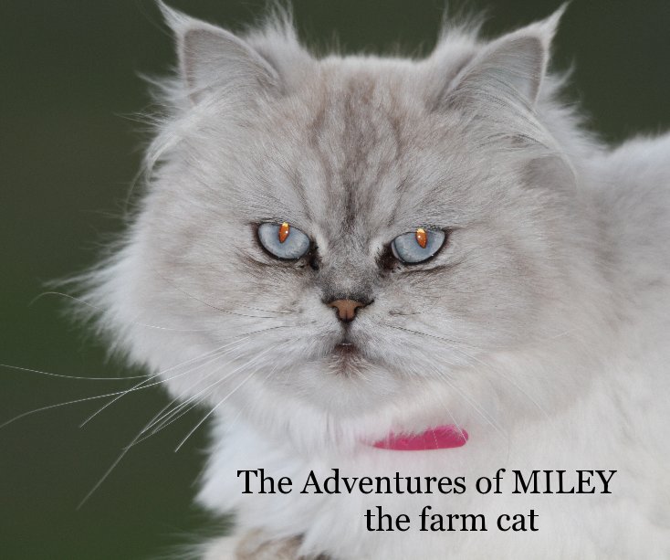 Ver The Adventures of MILEY the farm cat por Jenny Jenkins
