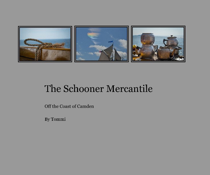 View The Schooner Mercantile by Tommi