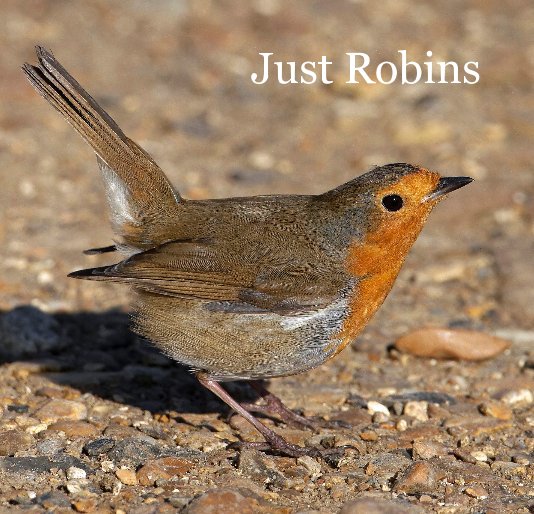 Ver Just Robins por Anne and Chris Algar