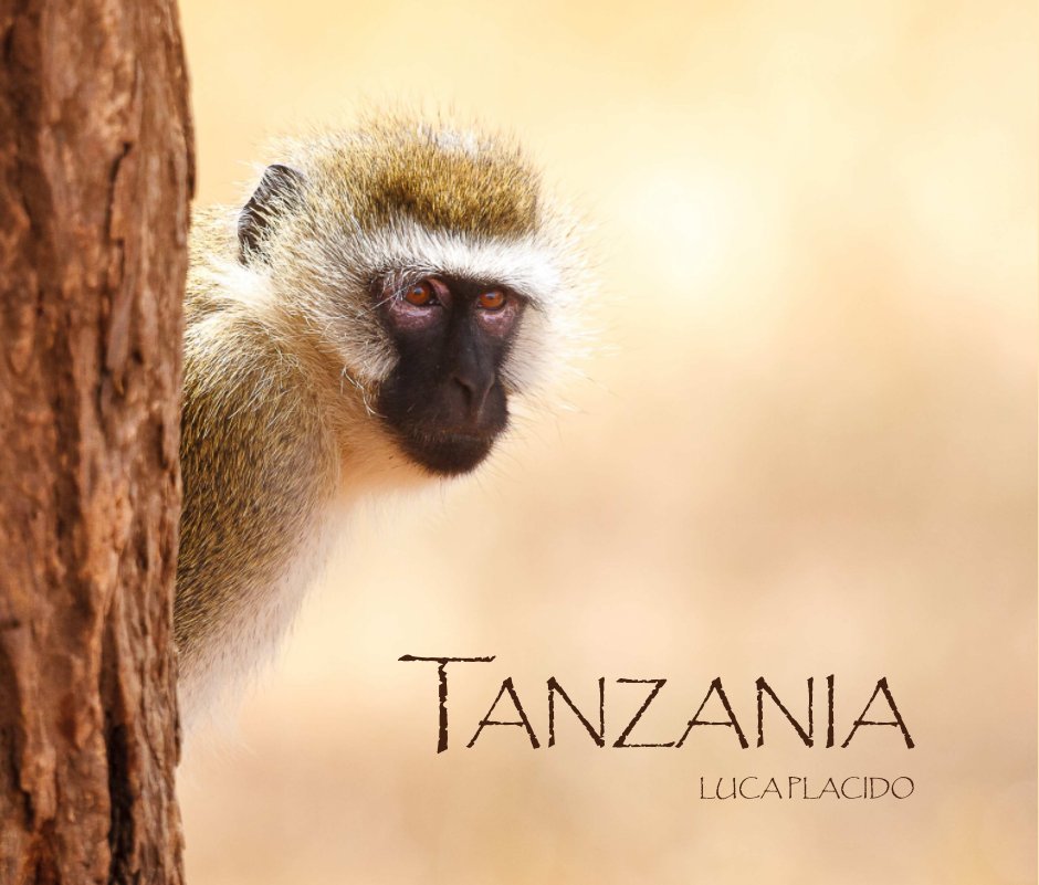 View Tanzania by Luca Placido