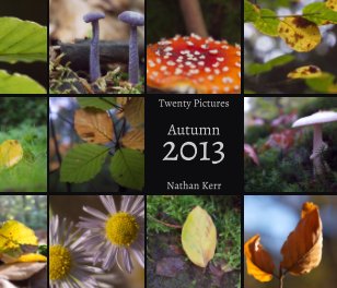 Twenty Pictures: Autumn 2013 book cover