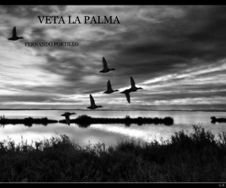 VETA LA PALMA book cover