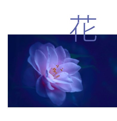 花  Flowers - big book book cover