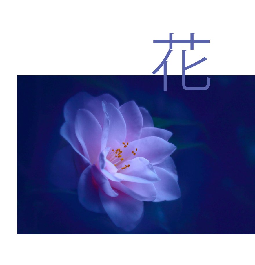 Ver 花  Flowers - big book por www.kujaja.com & 157 photographers
