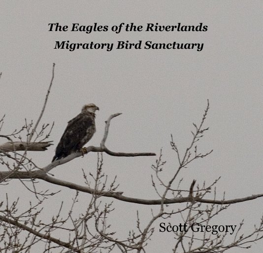 View The Eagles of the Riverlands Migratory Bird Sanctuary by Scott Gregory