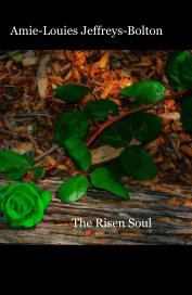 The Risen Soul book cover