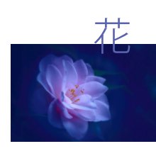 花  Flowers - mini book book cover
