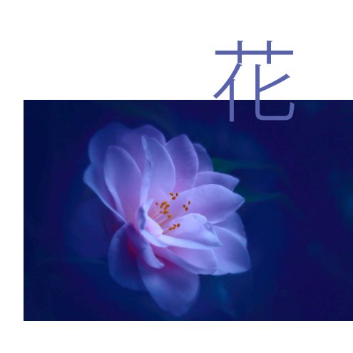 Ver 花  Flowers - mini book por www.kujaja.com & 157 photographers