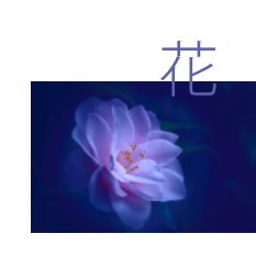 花  Flowers - mini book book cover