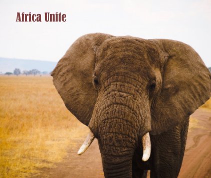 Africa Unite book cover