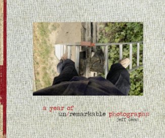 a year of un/remarkable photographs book cover