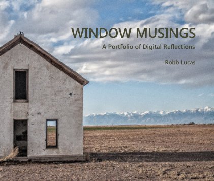 WINDOW MUSINGS book cover
