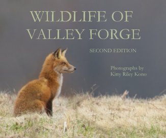 WILDLIFE OF VALLEY FORGE book cover