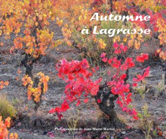 Automne à Lagrasse book cover