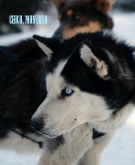 Chico, Montana book cover