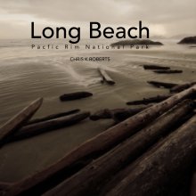 Long Beach book cover