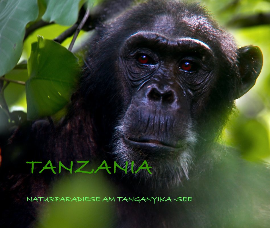 View TANZANIA by Sepp Friedhuber