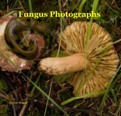 Fungus Photographs book cover