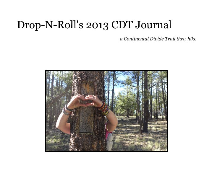 Visualizza Drop-N-Roll's 2013 CDT Journal di Kate Hoch