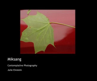 Miksang book cover