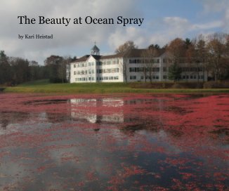 The Beauty at Ocean Spray book cover