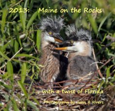 2013: Maine on the Rocks ... with a twist of Florida book cover