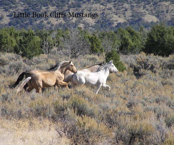View Little Book Cliffs Mustangs by Billie Hutchings