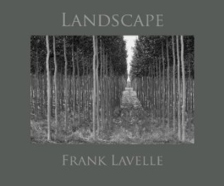 LANDSCAPE book cover