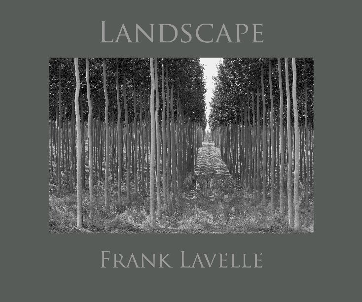 View LANDSCAPE by FRANK LAVELLE