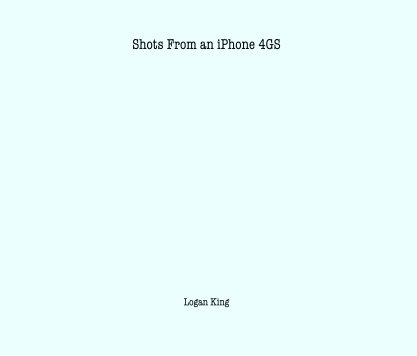Shots From an iPhone 4GS book cover