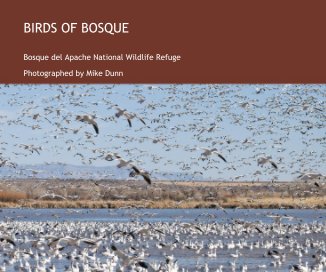Birds Of Bosque book cover