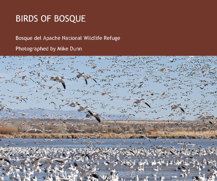 Birds Of Bosque nach Photographed by Mike Dunn anzeigen
