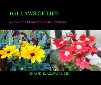 101 LAWS OF LIFE book cover