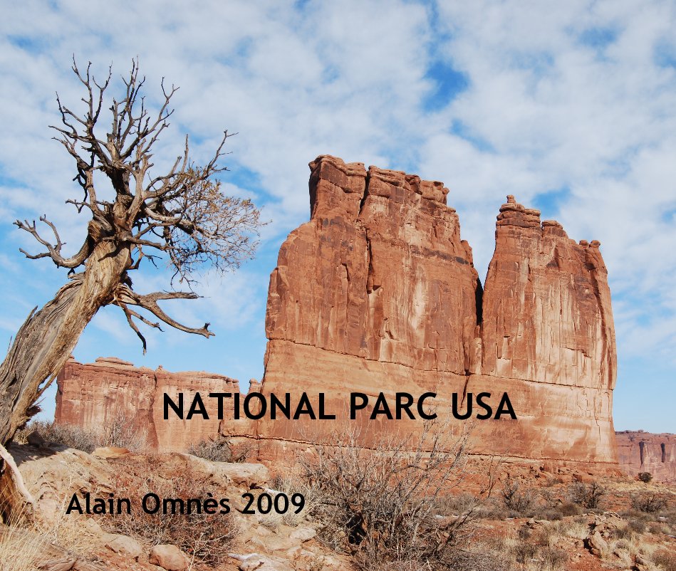 View NATIONAL PARC USA by Alain OmnÃ¨s 2009