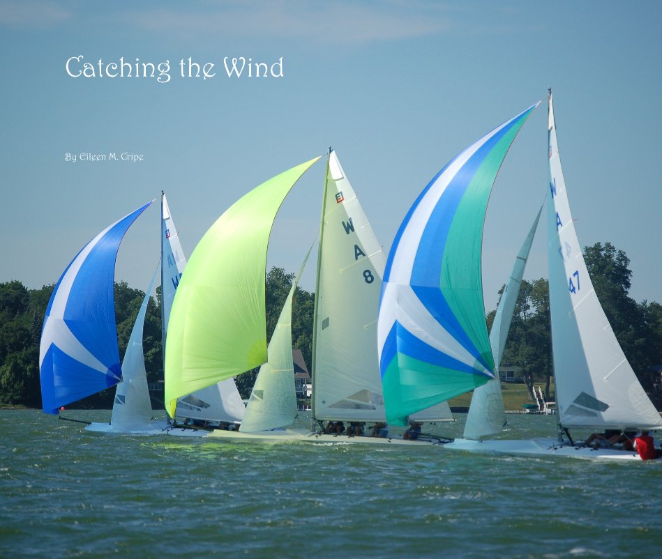 View Catching the Wind by Eileen M. Cripe