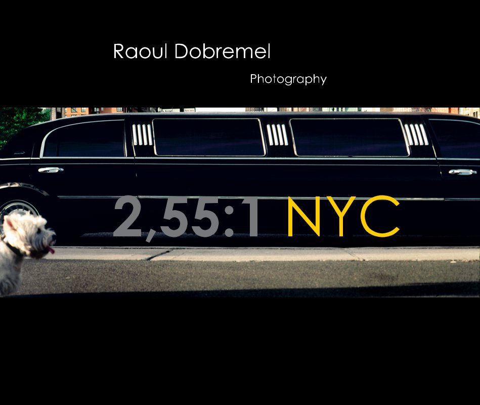 View 2,55:1 NYC by Raoul Dobremel