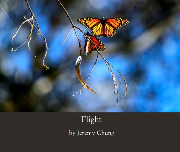 View Flight by Jeremy Chung