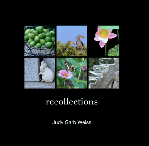 View recollections by Judy Garb Weiss