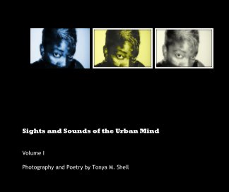 Sights and Sounds of the Urban Mind book cover