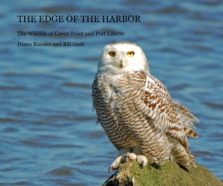 View THE EDGE OF THE HARBOR by Diana Russler and Bill Gent