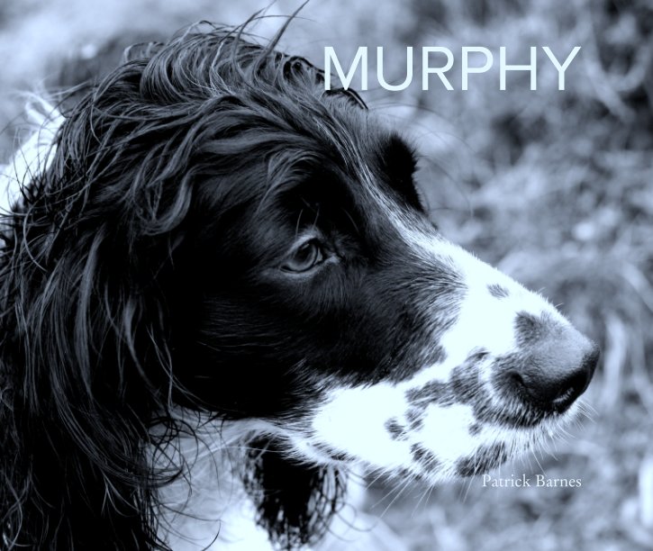 View MURPHY by Patrick Barnes